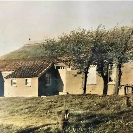 Lindenhuus-urlaub Unter Einem Teilreetdach-terrasse - Nahe Norden-norddeich 度假居