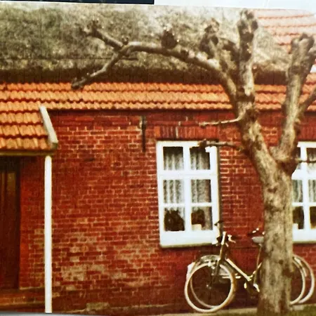 Lindenhuus-urlaub Unter Einem Teilreetdach-terrasse - Nahe Norden-norddeich *
