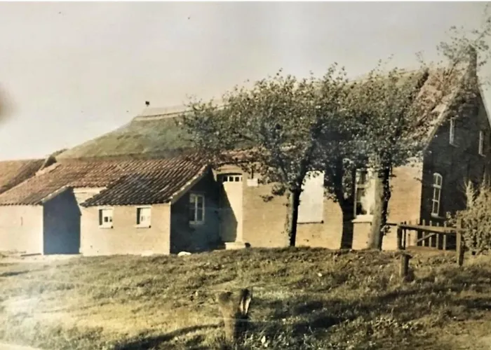 Lindenhuus-urlaub Unter Einem Teilreetdach-terrasse - Nahe Norden-norddeich Hébergement de vacances
