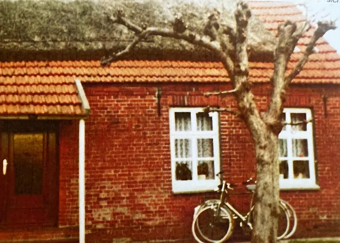 Lindenhuus-urlaub Unter Einem Teilreetdach-terrasse - Nahe Norden-norddeich *