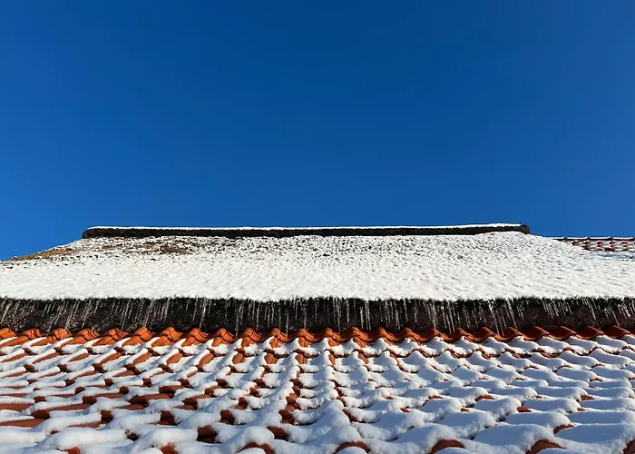 Lindenhuus-urlaub Unter Einem Teilreetdach-terrasse - Nahe Norden-norddeich *
